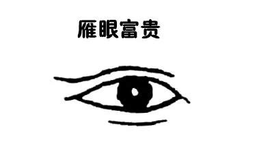 眼睛形狀面相|解析面相中的雁眼